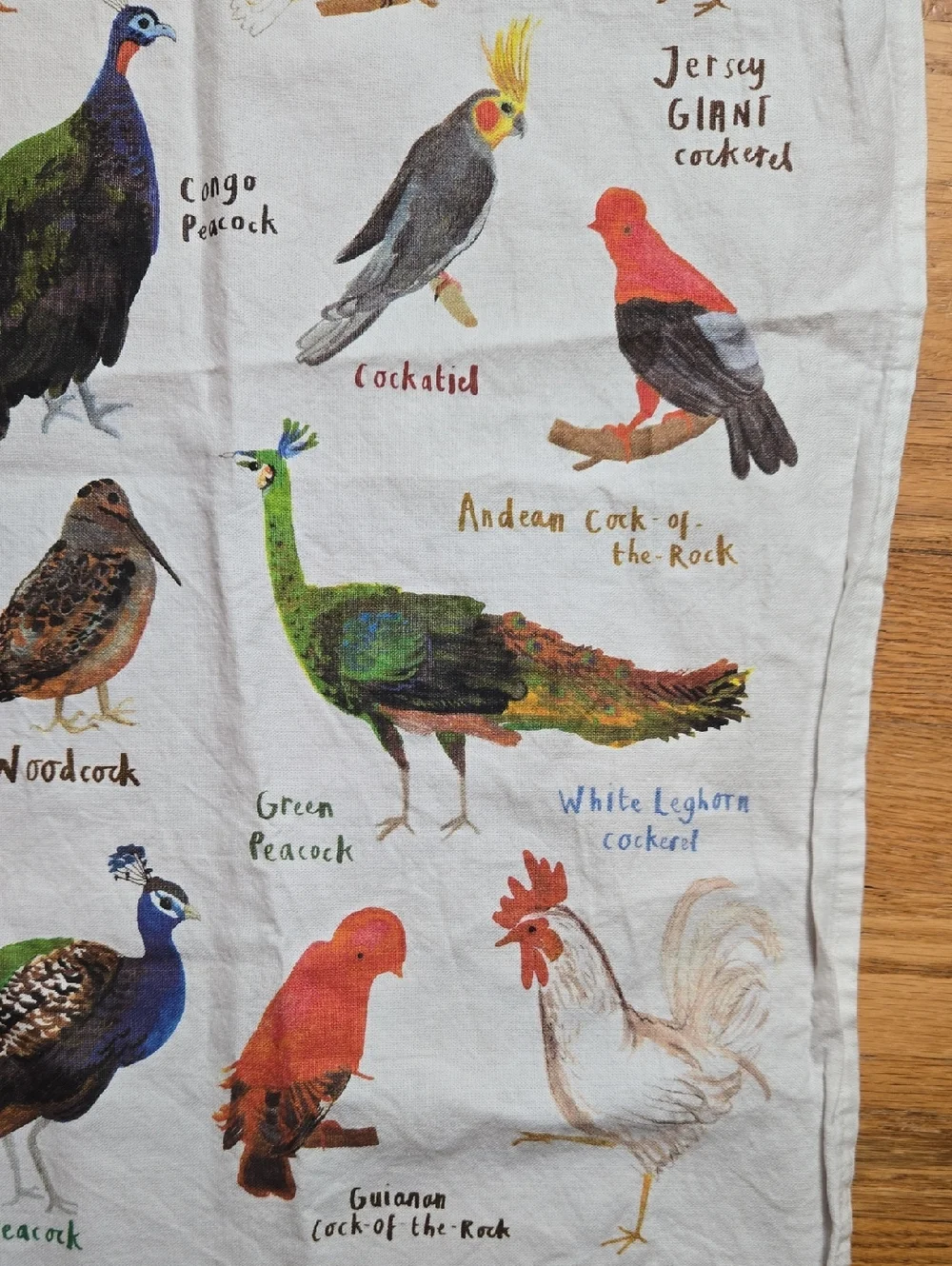 Sarah Edmonds Fowl Language 'C*cks' bird tea towel